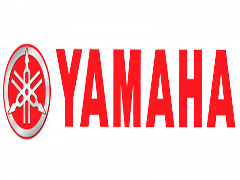 Model Brand Image for Yamaha
